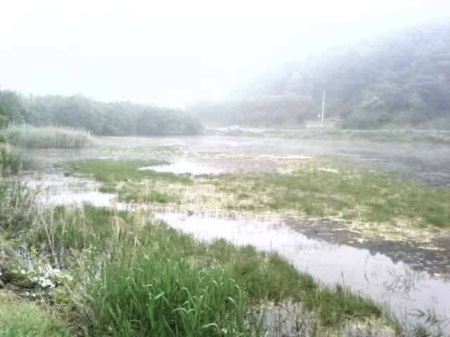 터가씨네 (커뮤니티 - 자유게시판)