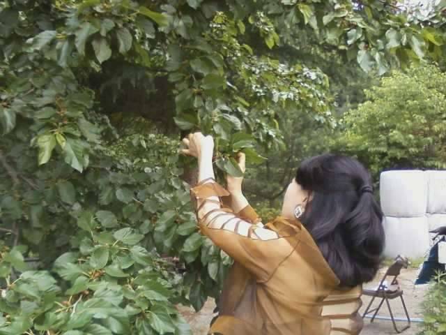 병 던지지 마세요 (커뮤니티 - 자유게시판)