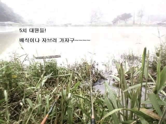 5치특수부대장님의 고민 (커뮤니티 - 자유게시판)