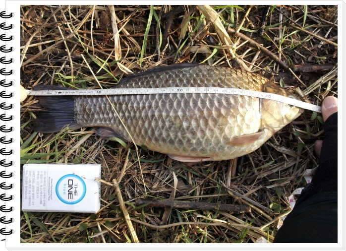 1탄 35cm36 (커뮤니티 - 자유게시판)