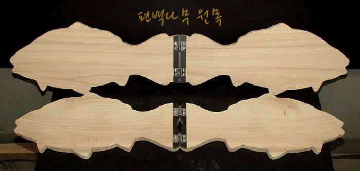 편백나무노송나무 (커뮤니티 - 자유게시판)
