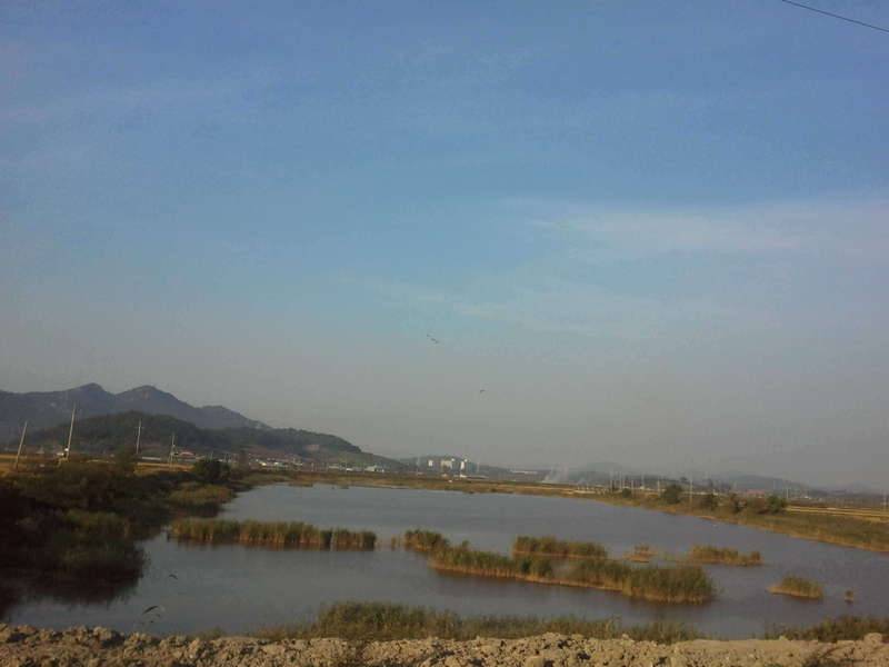 출장중 풍경 (커뮤니티 - 자유게시판)