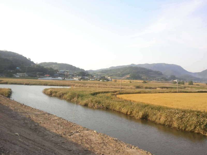 출장중 풍경 (커뮤니티 - 자유게시판)