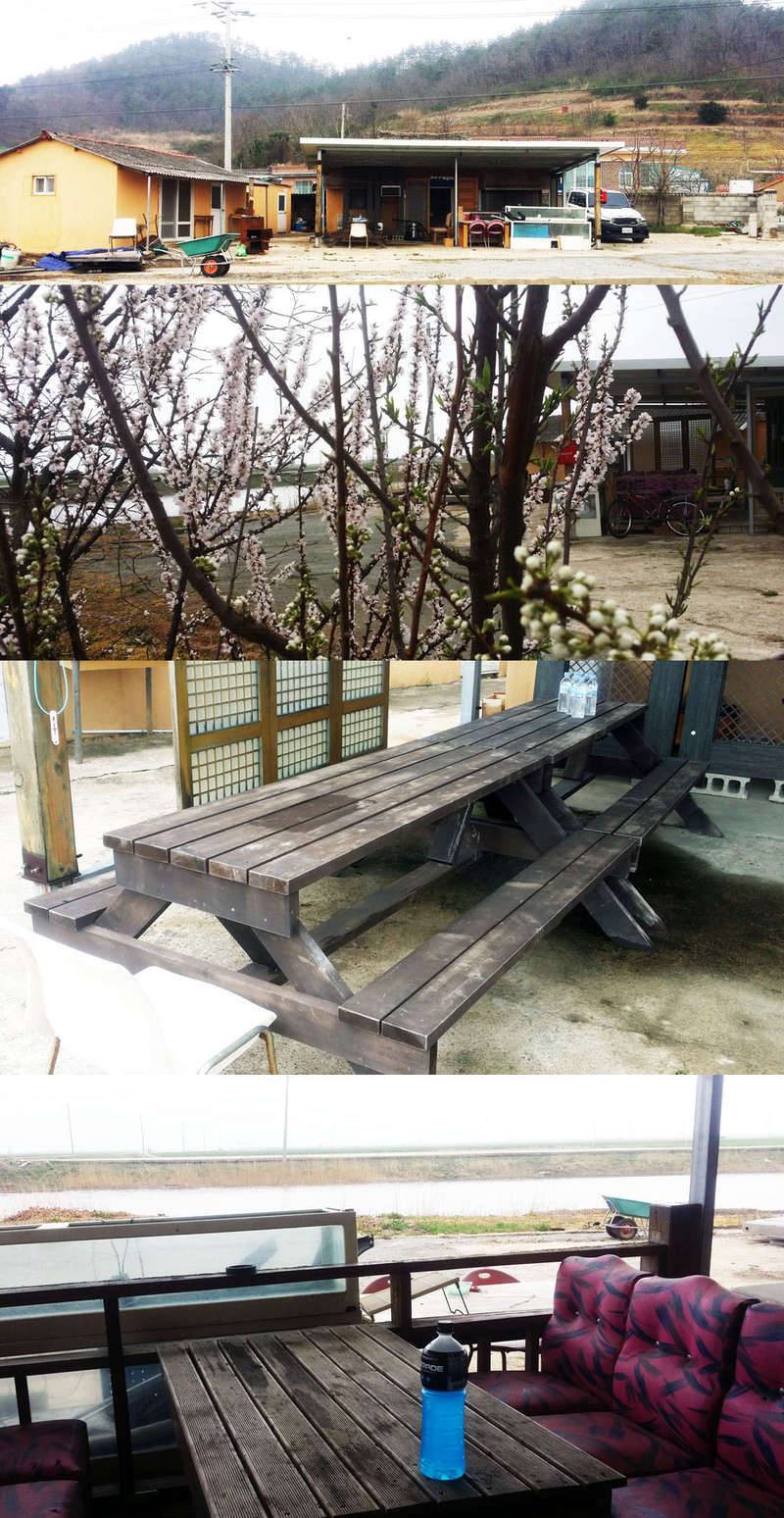 정가일지 나를 죽이지 못하는 고통은 (커뮤니티 - 자유게시판)