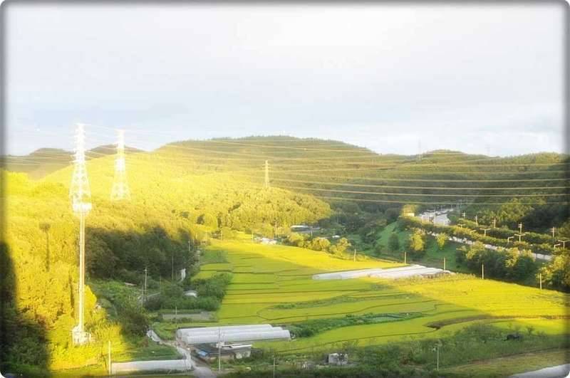 태풍은 지나가고 (커뮤니티 - 자유게시판)