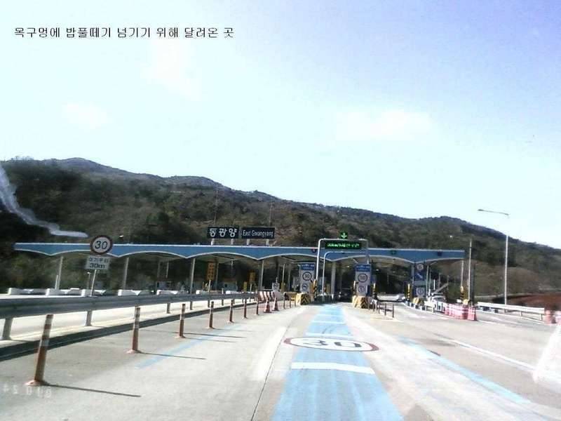 남도 댕겨왔는데 (커뮤니티 - 자유게시판)