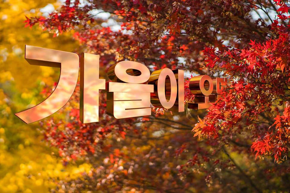 가을의 가재잡이 (커뮤니티 - 자유게시판)