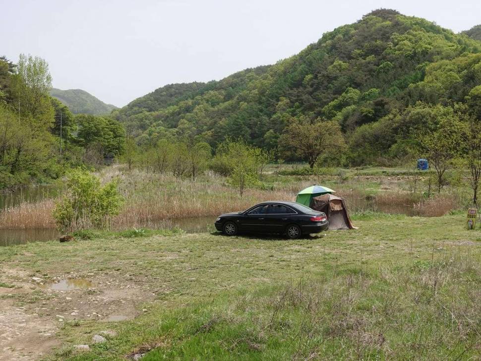 전반기 결산 (커뮤니티 - 자유게시판)