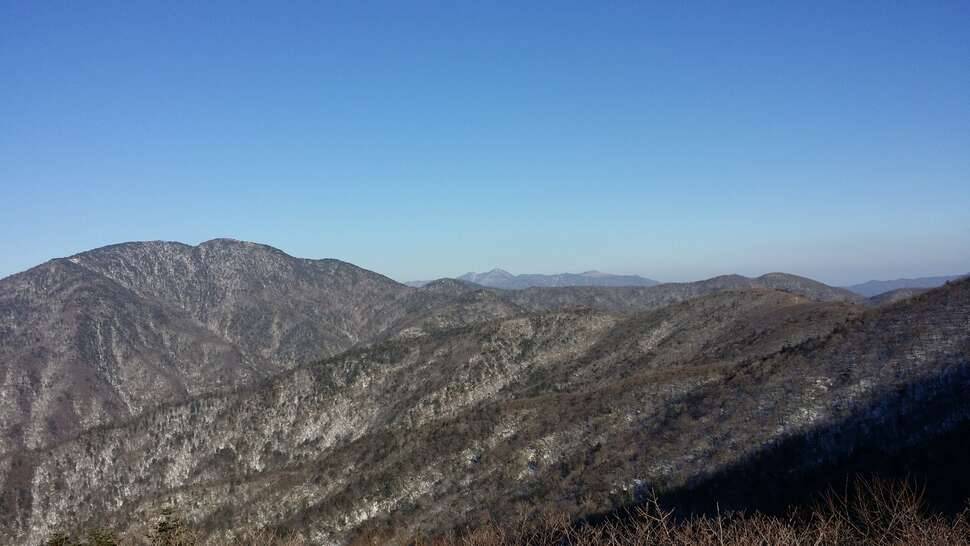 구례 산청 1 (커뮤니티 - 자유게시판)