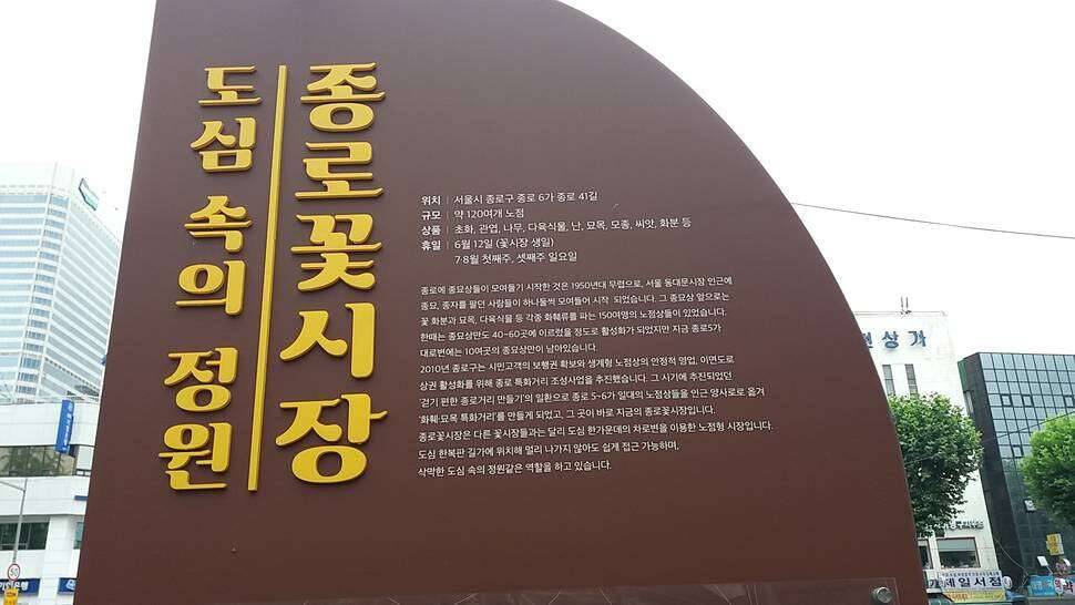 노파 와 난 (커뮤니티 - 자유게시판)