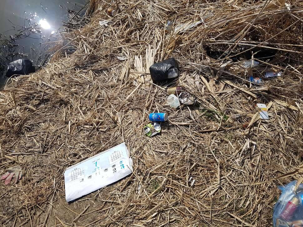 안녕하세요어류정 대장 붕어 입니다 (커뮤니티 - 자유게시판)