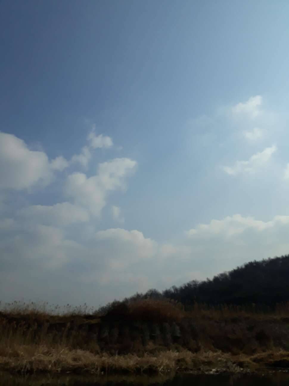 언제나 그렇듯 (커뮤니티 - 자유게시판)