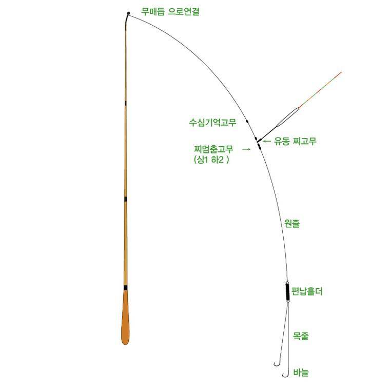 드디어 낚시대를 구매했습니다 (월척지식 - 내림중층낚시)