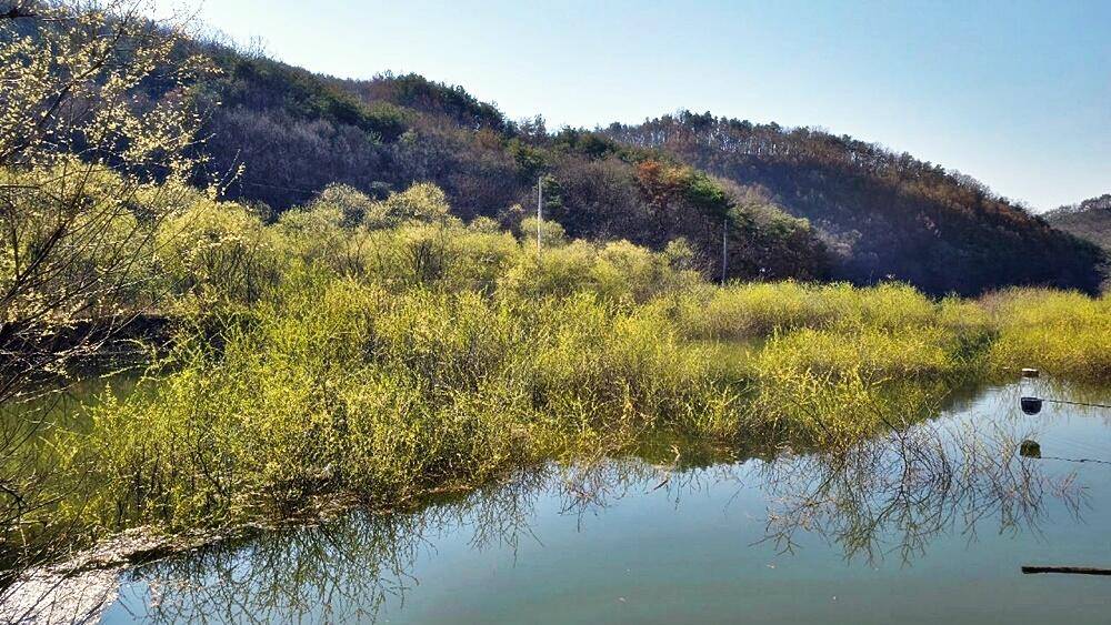 꾼의 계절 (조황조행기 - 화보조행기)