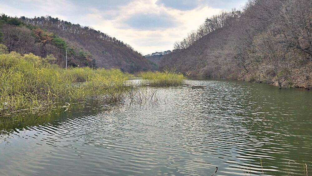 꾼의 계절 (조황조행기 - 화보조행기)