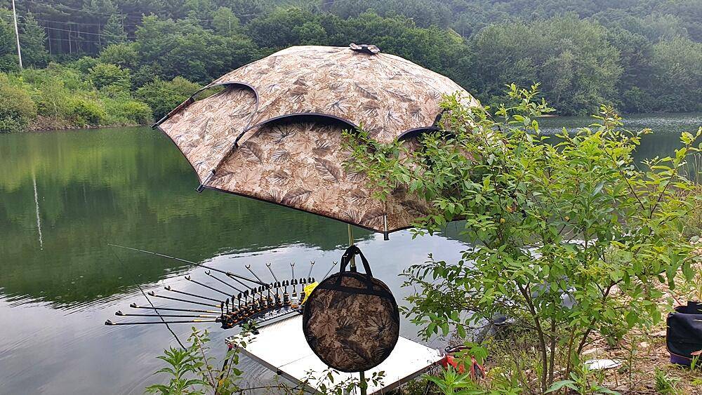바람처럼 들꽃처럼 계곡지 (조황조행기 - 화보조행기)