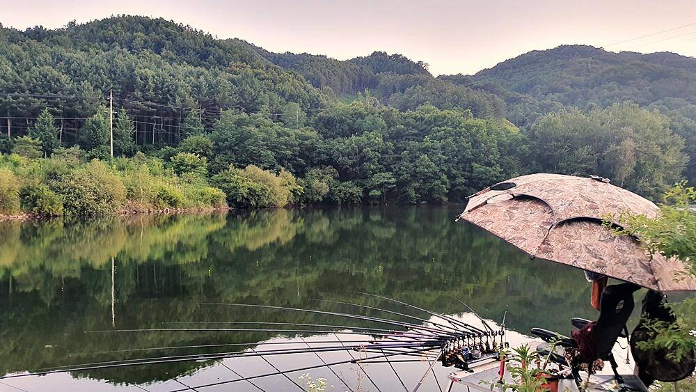 바람처럼 들꽃처럼 계곡지 (조황조행기 - 화보조행기)
