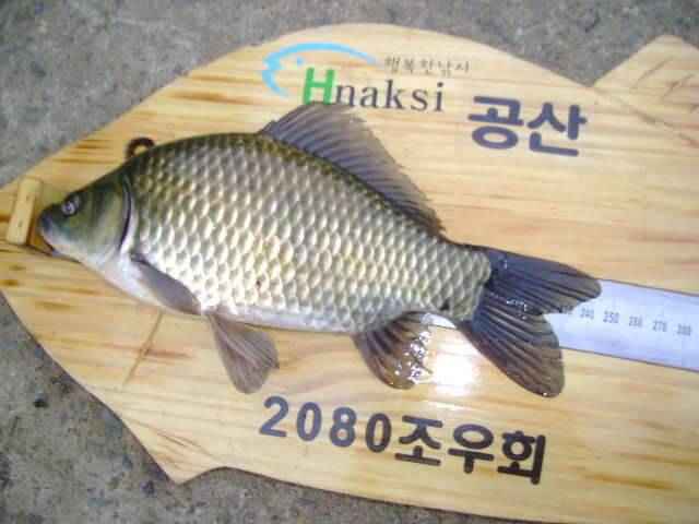 2080 조우회 9월 정출 (조황조행기 - 화보조행기)
