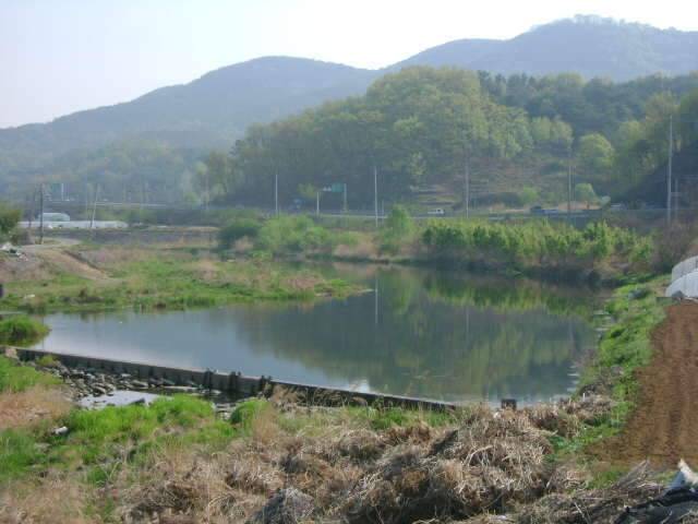 칠곡수로 조행기 (조황조행기 - 화보조행기)