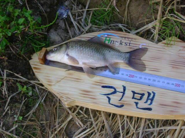 온라인에서 오프라인으로의 인연 (조황조행기 - 화보조행기)
