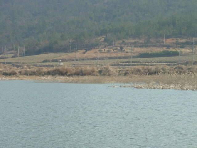 전남신안군태천 (조황조행기 - 화보조행기)