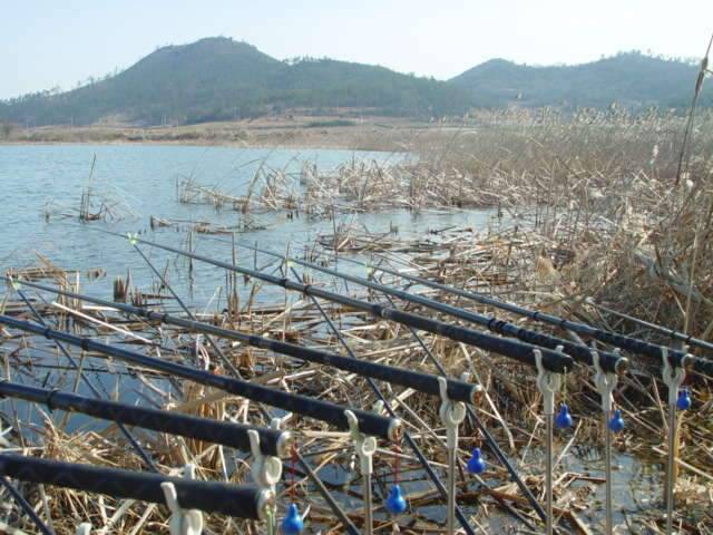 전남신안군태천 (조황조행기 - 화보조행기)