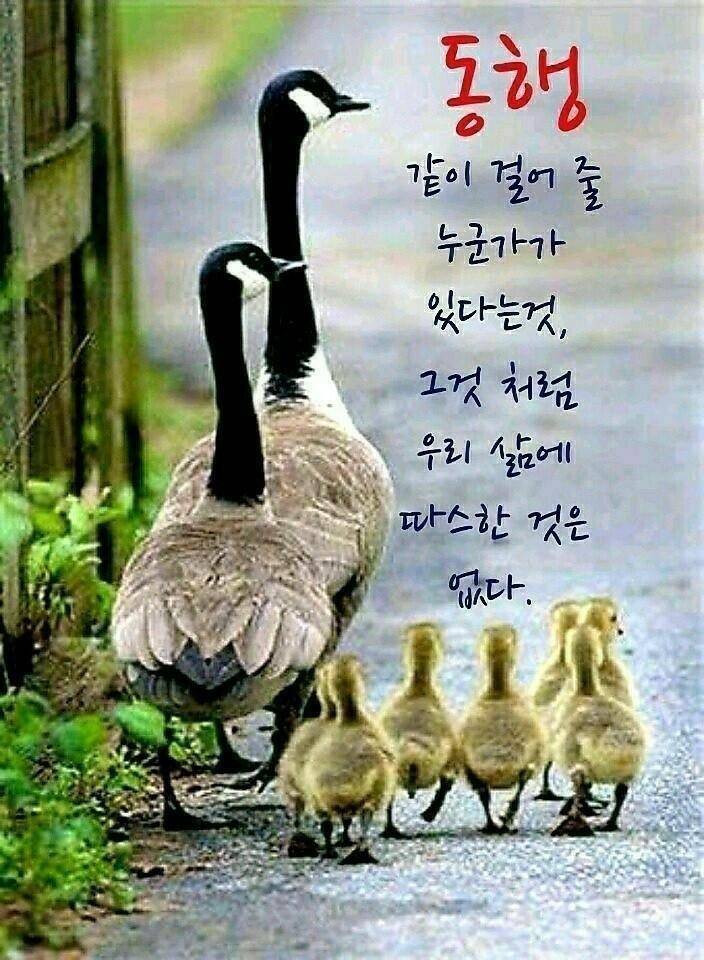 먹개비의 낚시투어 148탄 생애 첫 밀양권 밤낚시 (조황조행기 - 화보조행기)