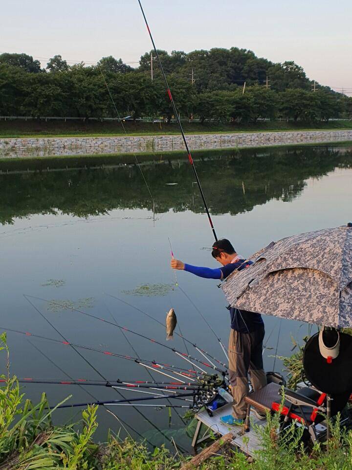 먹개비의 낚시투어 135탄 붕어와 사람에 끌리다 정출 (조황조행기 - 화보조행기)