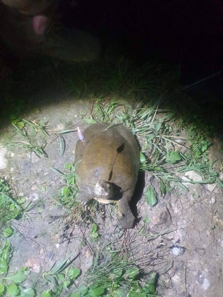 무더위를 벗삼아 떠난 똘조우회 (조황조행기 - 화보조행기)