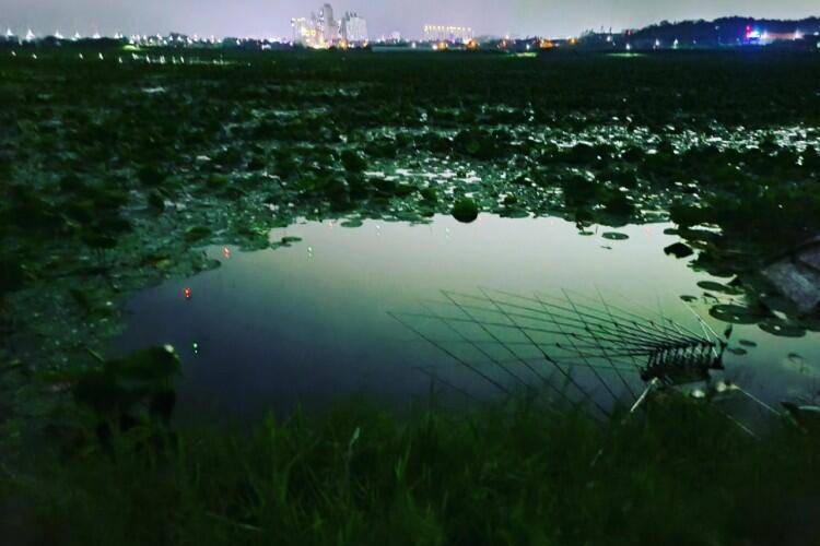 까멜리아의 열두 번째 조행기입니다 (조황조행기 - 화보조행기)