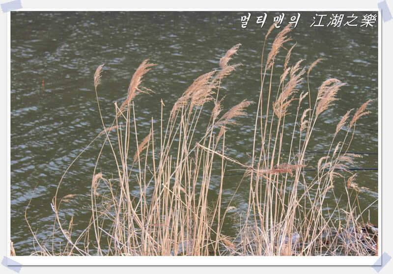 초보 멀티맨의 물찾아 붕어찾아 1탄충북음성원남지편 (조황조행기 - 화보조행기)