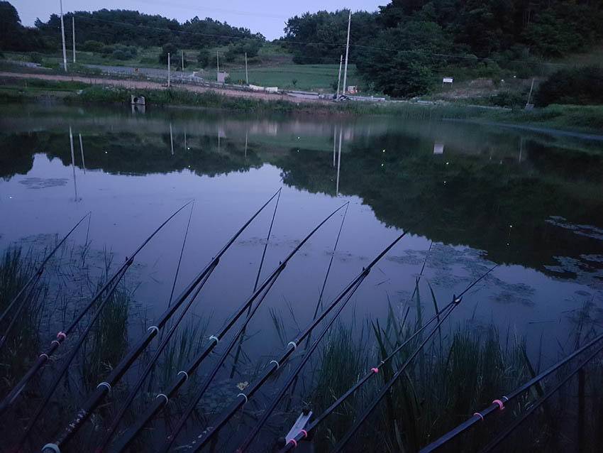 한여름 낚시의 시작인가 (조황조행기 - 화보조행기)