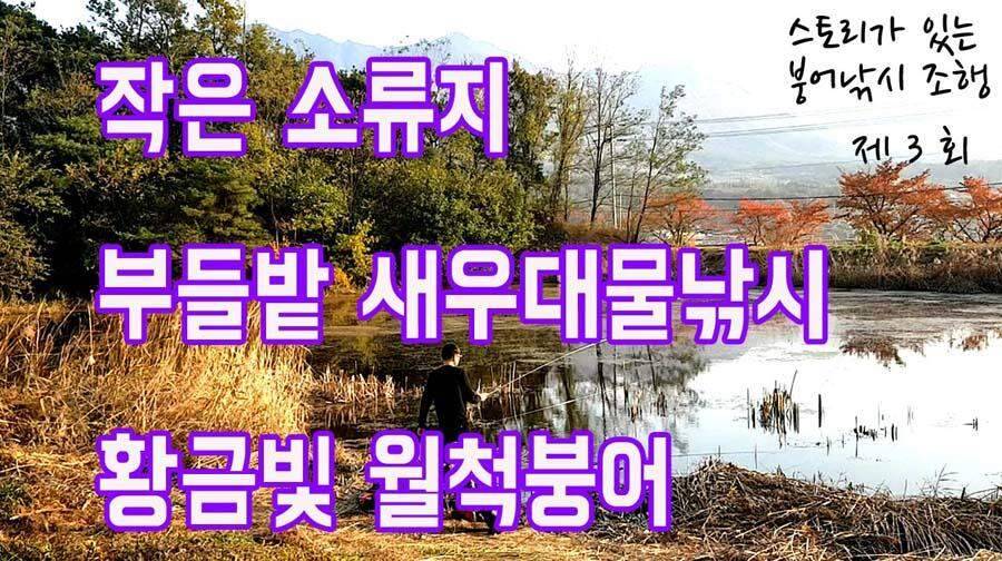 제3회 작은 소류지 부들밭 새우대물낚시 쭉쭉밀어 턱걸이 월척 (조황조행기 - 화보조행기)