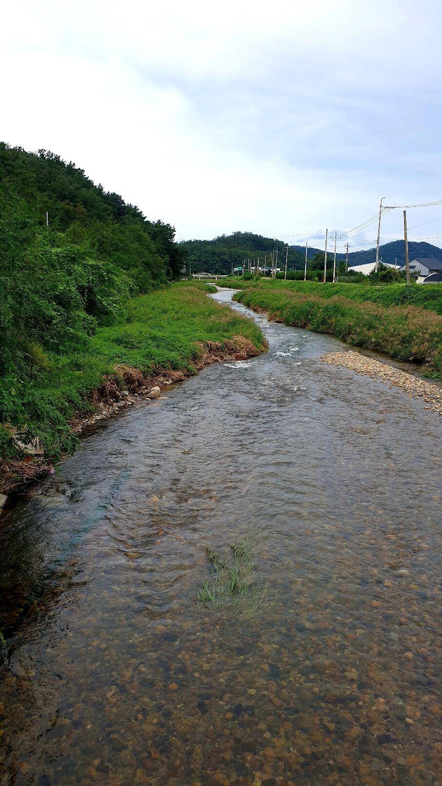 9회말2아웃에 만난붕어 (조황조행기 - 화보조행기)