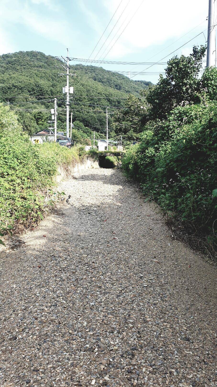 메뚜기놀이터 (조황조행기 - 화보조행기)
