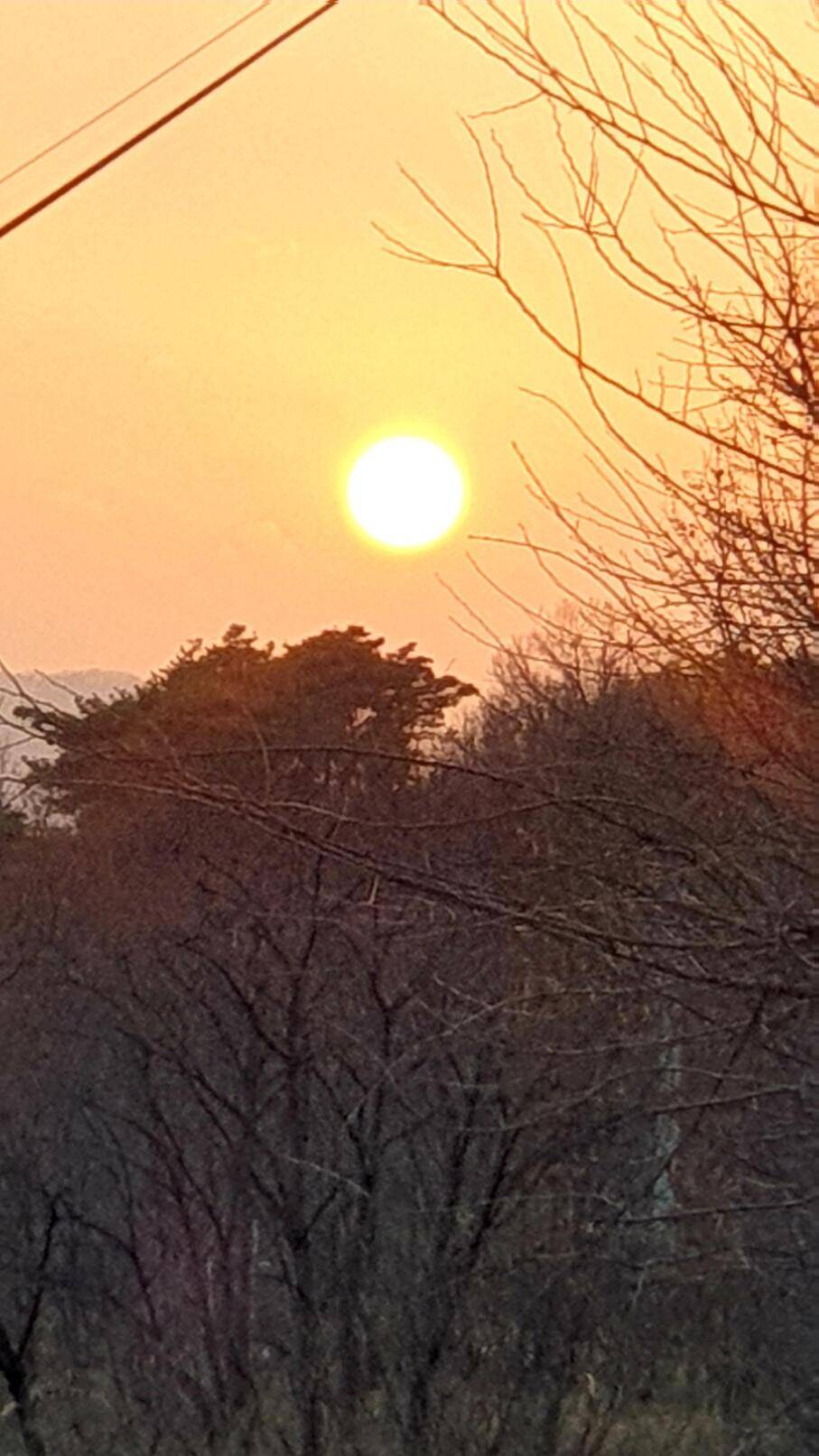 6년만의재회 (조황조행기 - 화보조행기)