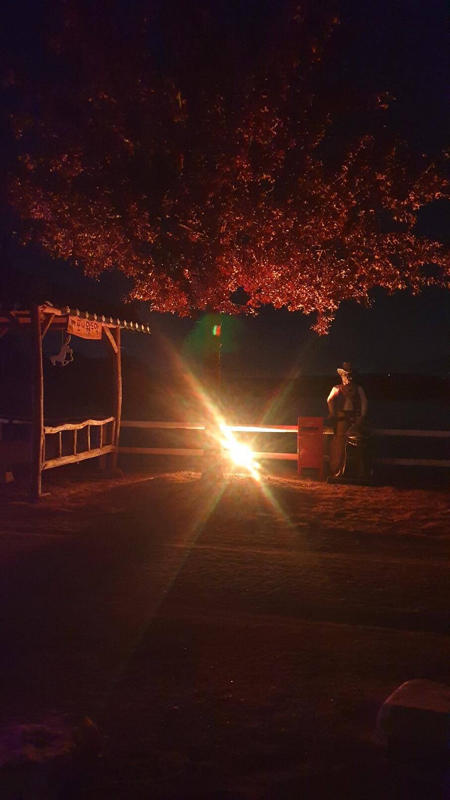 펜션먹방 (조황조행기 - 화보조행기)