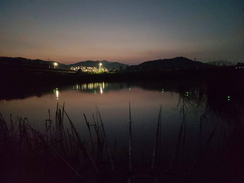 먹개비의 낚시투어 133탄 즐거운 독조 뜻밖의 손님 (조황조행기 - 화보조행기)