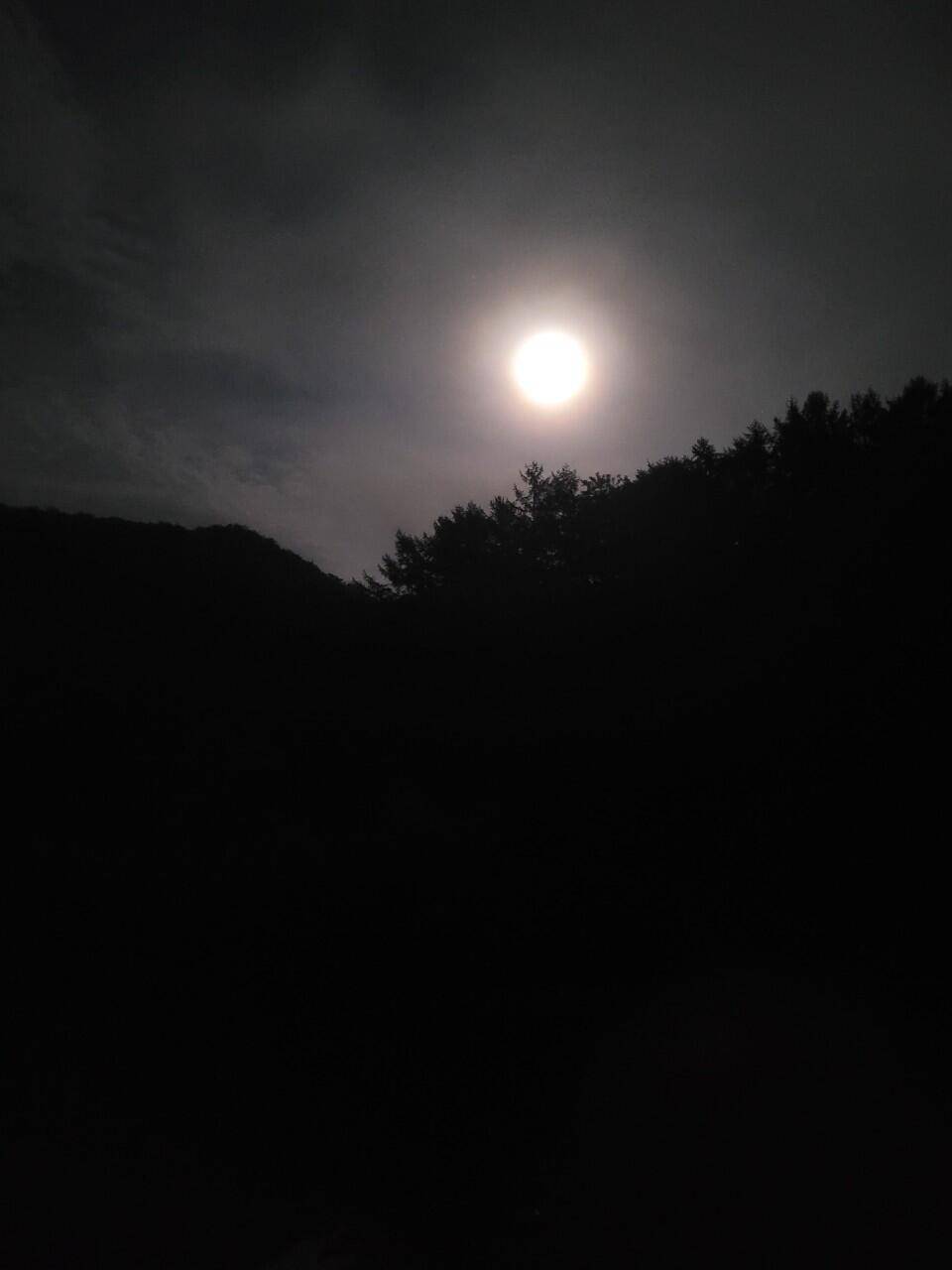 1년 전 그 기억 (조황조행기 - 화보조행기)