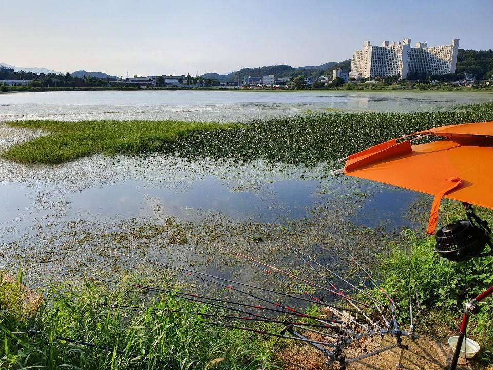 즐거운 낚시 (조황조행기 - 화보조행기)