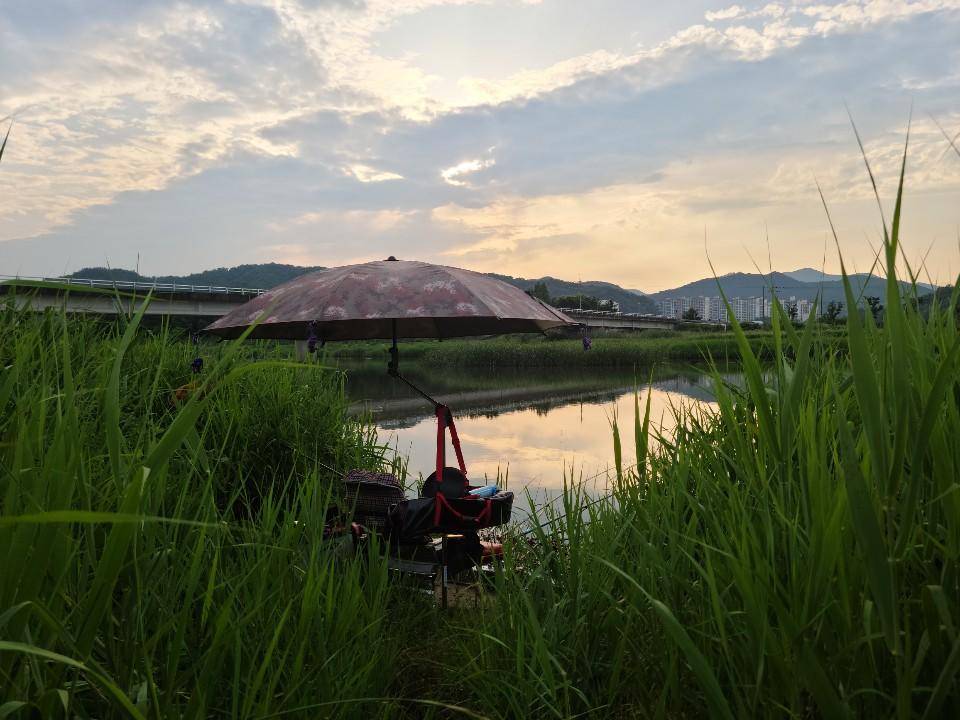 먹개비의 낚시투어 133탄 즐거운 독조 뜻밖의 손님 (조황조행기 - 화보조행기)