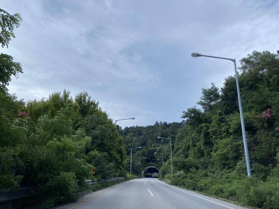 태풍이 지나가고 4짜붕어를 품에 안다 계곡형 토종터에서 하룻밤 (조황조행기 - 화보조행기)