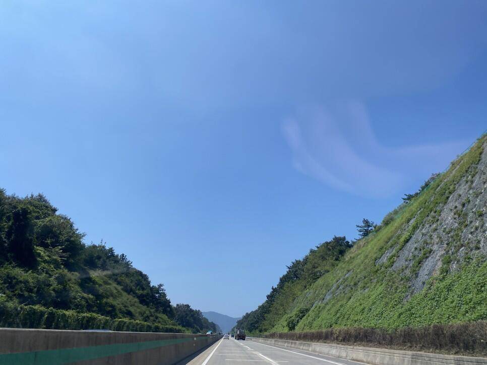 5짜가 나왔다는 소리듣고 부리나케 달려갔습니다 마을속 작은 소류지 (조황조행기 - 화보조행기)