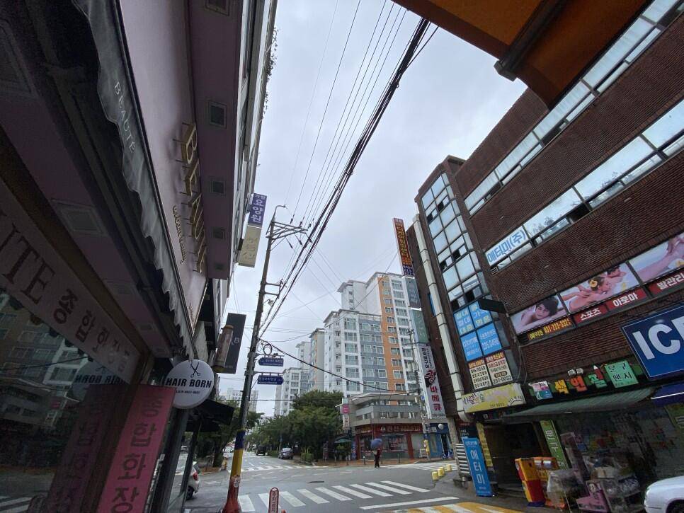 붕어 빵이 장난이 아닌 토종터 또하나의 애장터로 등극 대박붕어 (조황조행기 - 화보조행기)