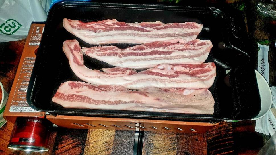 복사꽃핀4월에 계곡지 (조황조행기 - 화보조행기)