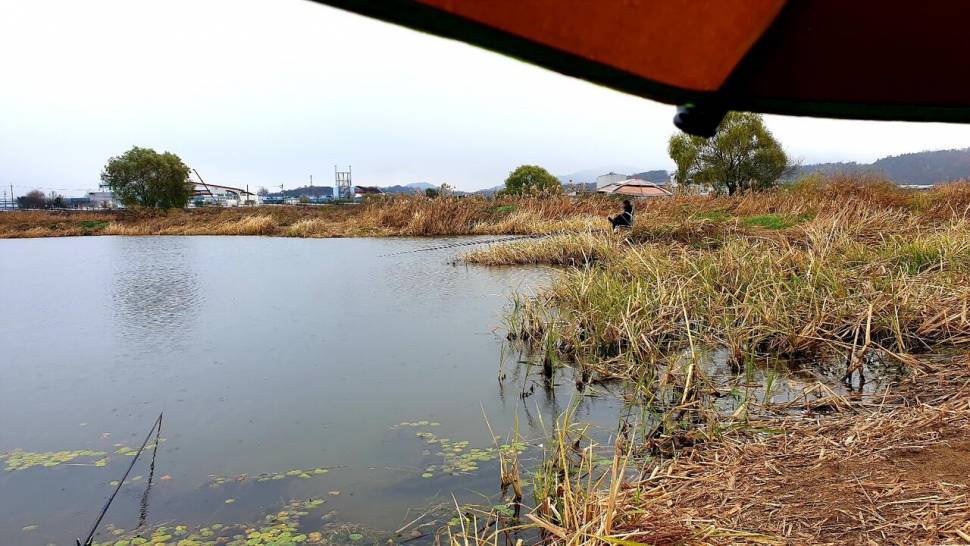 시즌을 마감하며 (조황조행기 - 화보조행기)