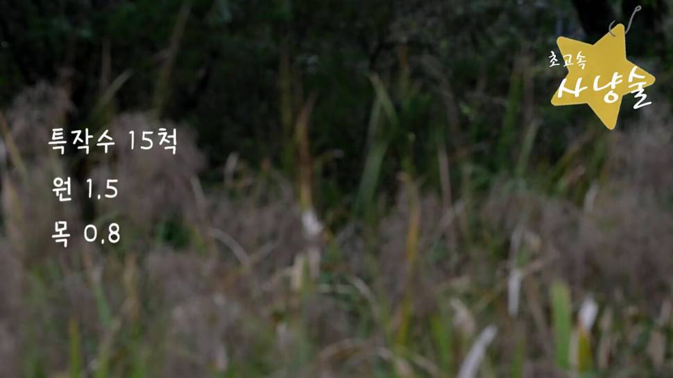 초고속 사냥술 댐낚시 붕어사냥 (조황조행기 - 화보조행기)
