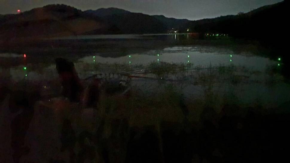 메뚜기놀이터 (조황조행기 - 화보조행기)