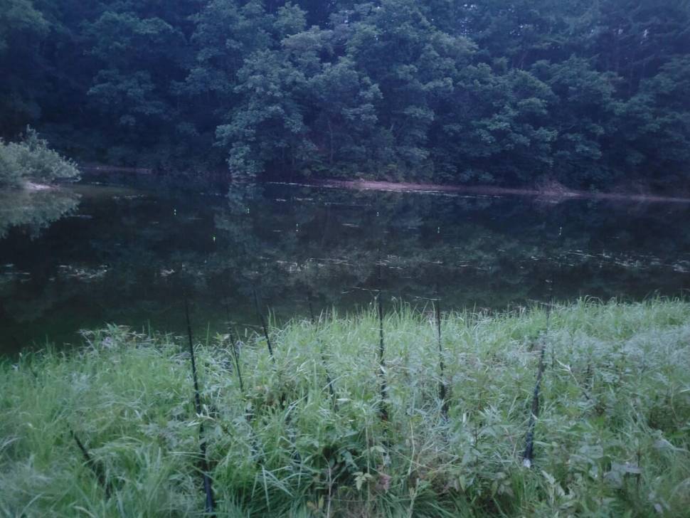 1년 전 그 기억 (조황조행기 - 화보조행기)