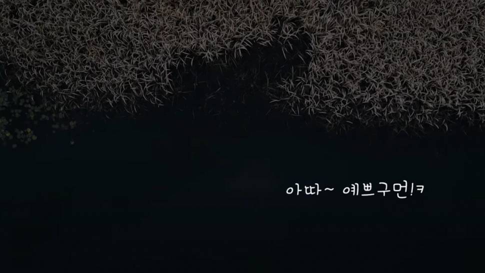 낚시대를 드리겠습니다 실화ㅋㅋㅋ (조황조행기 - 화보조행기)